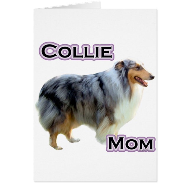 Collie Maman 4 (Devant)