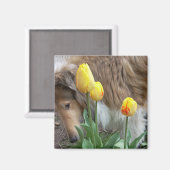 Collie N Tulips Magnet (Recto/Verso)