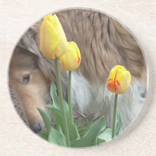 Collie n Tulips onderzetters