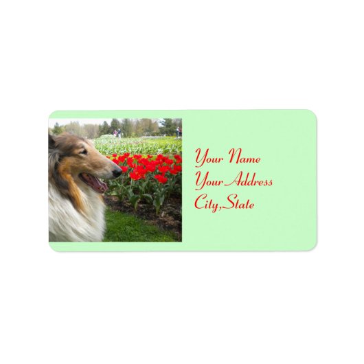 Collie N Tulpen Labels (Voorkant)