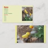 Collie n'Tulips Cartes de visite (Devant / Derrière)