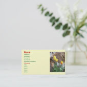 Collie n'Tulips Cartes de visite (Debout devant)