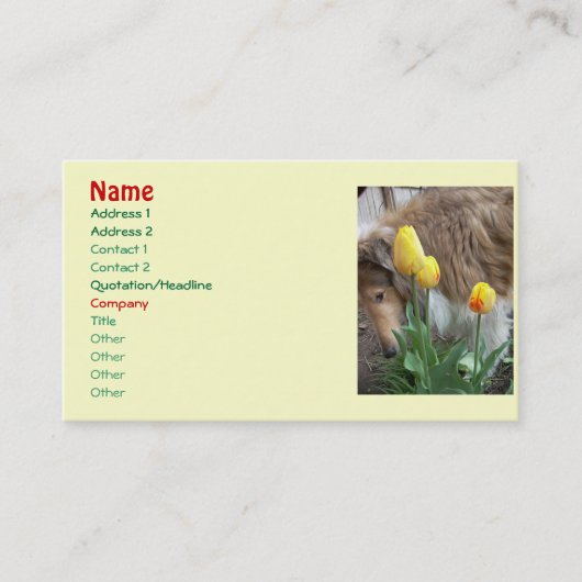 Collie n'Tulips Cartes de visite (Devant)