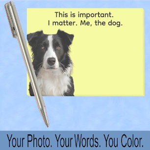 Collie of uw hondenfoto—Kleine Kerstcadeautjes Cut Post-it® Notes