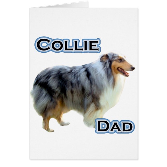 Collie Papa 4 (Devant)