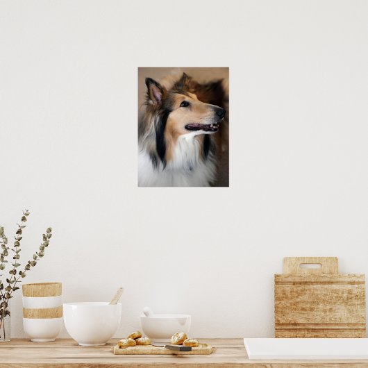 Collie Poster (Keuken)