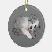 collie puppy blue merle keramisch ornament (Links)