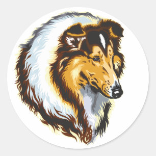 collie ronde sticker