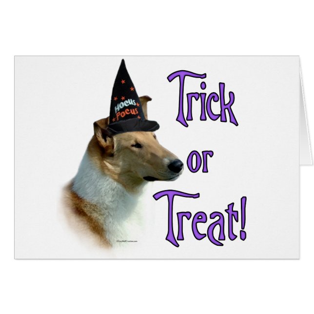 Collie (sable, lisse) Trick (Devant horizontal)