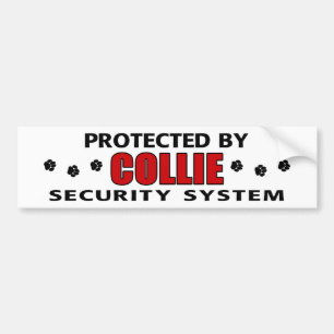 Collie Security Bumpersticker