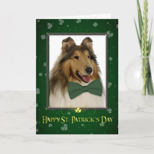 Collie St. Patrick's Card Kaart