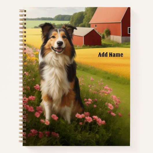 Collie standard sur cahier de ferme (Devant)
