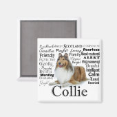 Collie Traits Magnet Magneet (Voorkant / Achterkant)