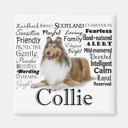 Collie Traits Magnet Magneet (Voorkant)