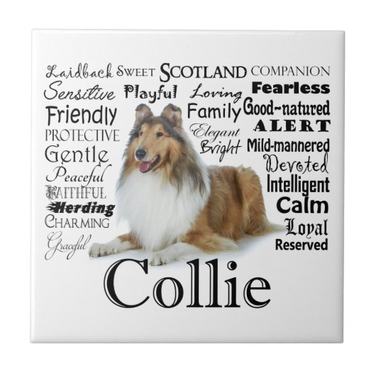 Collie Traits Tile Tegeltje (Voorkant)