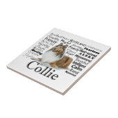 Collie Traits Tile Tegeltje (Zijkant)