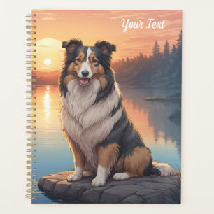 Collie tricolore au bord d'un lac