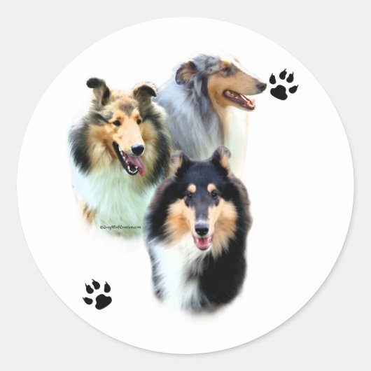 Collie Trio - Sticker (Voorkant)
