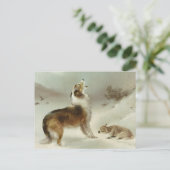 Collie und Schaf Briefkaart (Staand voorkant)