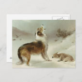 Collie und Schaf Briefkaart (Voorkant / Achterkant)