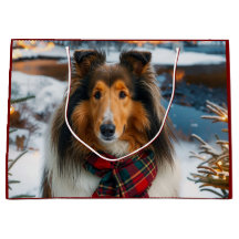 Collie Vakantie