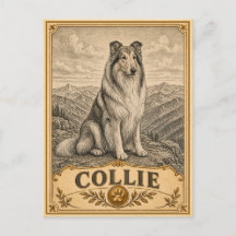 Collie, Vintage Heritage Hond