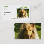 Collie Visitekaartje (Voorkant / Achterkant)