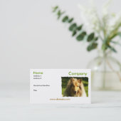 Collie Visitekaartje (Staand voorkant)