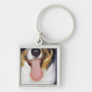 Collie waggong sleutelhanger