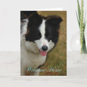 Collie Welkom thuis. Fijn dat je weer thuis bent. Kaart (Voorkant)