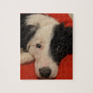 colliehond legpuzzel