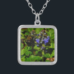 Collier Baume d'abeille pourpre et bourdon<br><div class="desc">Fleur de baume d'abeille mauve,  fleurs et bourdons jaunes et noirs Photo de Sandy Closs prise au lac Arrowhead violet,  "baume d'abeille",  fleur,  fleurs,  fleurs,  fleurs,  printemps,  cerise,  cerises,  jardin,  mariage,  mariages, </div>