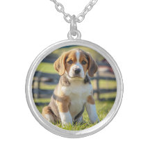 Belle ronde Beagle