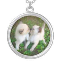 chatons qui s'embrassent