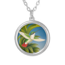 Colibri moderne