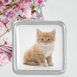 Collier Cute Orange Kitten Photo<br><div class="desc">Montrez votre amour pour les amis en fureur avec cet adorable collier personnalisé avec une photo de chaton orange sucré. Placé dans un cadre argenté brillant avec une chaîne assortie, ce charmant morceau fait un cadeau parfait pour les amoureux de les chats, les mamans ou toute personne qui adore les...</div>