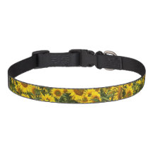 Collier de chien de tournesol
