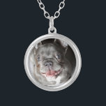 Collier Französische Bulldogge<br><div class="desc">Modehund,  bulldog français,  chiot,  animal de compagnie,  chien,  chiot,  animal,  chien,  chien,  chien,  bulldog,  bulldog,  bulldog,  french bulldog,  pets,  dogs,  puppies,  dog,  bulldog,  bulldog,  puppy,  dog fashion,  pet</div>