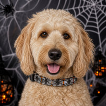 Collier Halloween Toile d'araignée noir élégant po
