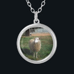 Collier Jeune mouton blanc sur la ferme<br><div class="desc">Jeune mouton blanc à la ferme Photo de Sandy Closs "animaux de ferme",  bébé,  "baby shower" Agneau,  "mouton maman""mouton blanc",  "mère d'agneau" pays "mariage rustique""cadeaux d'agneau"berger,  crème de noël</div>