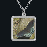 Collier Papillon bleu et noir<br><div class="desc">Papillon bleu et noir</div>