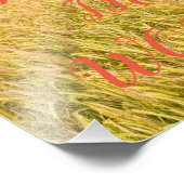 Collier photo Kodak Professional Photo Paper (Sati (Coin)