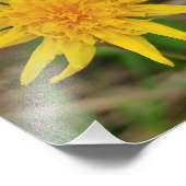 Collier photo Kodak Professional Photo Paper (Sati (Coin)