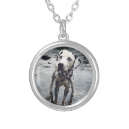 Collier Photo personnalisée de l'ami animal de compagnie T