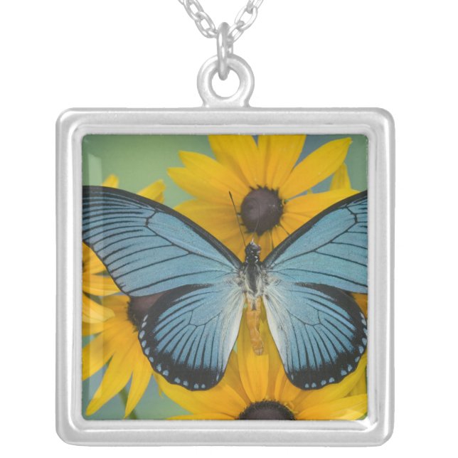 Collier Photographie de Sammamish Washington du papillon (Devant)