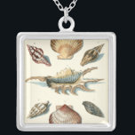 Collier Plage de Shell soignée<br><div class="desc">George Wolfgang Knorr est connu pour le détail délicat et la précision de ses illustrations de coquillages et d'étoiles de mer. Ses dessins ont été influencés par son propre intérêt pour la science,  sujet populaire de son époque.</div>