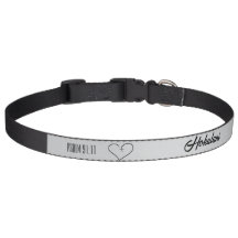 Collier pour animaux de compagnie chrétien personn