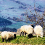 COLLIER SHEEP<br><div class="desc">Une belle peinture digitale à l'huile de mouton,  quelques unes des fermières qui travaillent dur. Pays de Galles Royaume-Uni.</div>