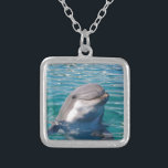 Collier Sourire de dauphin<br><div class="desc">Ce beau dauphin exprime le plaisir en vous voyant. Au juste ce que chaque amant de dauphin veut !</div>