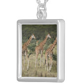 Collier Trio des girafes de Rothschild, lac Nakuru (Devant droit)